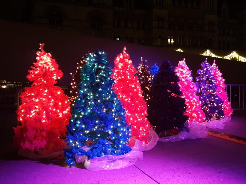 Colourful Christmas trees