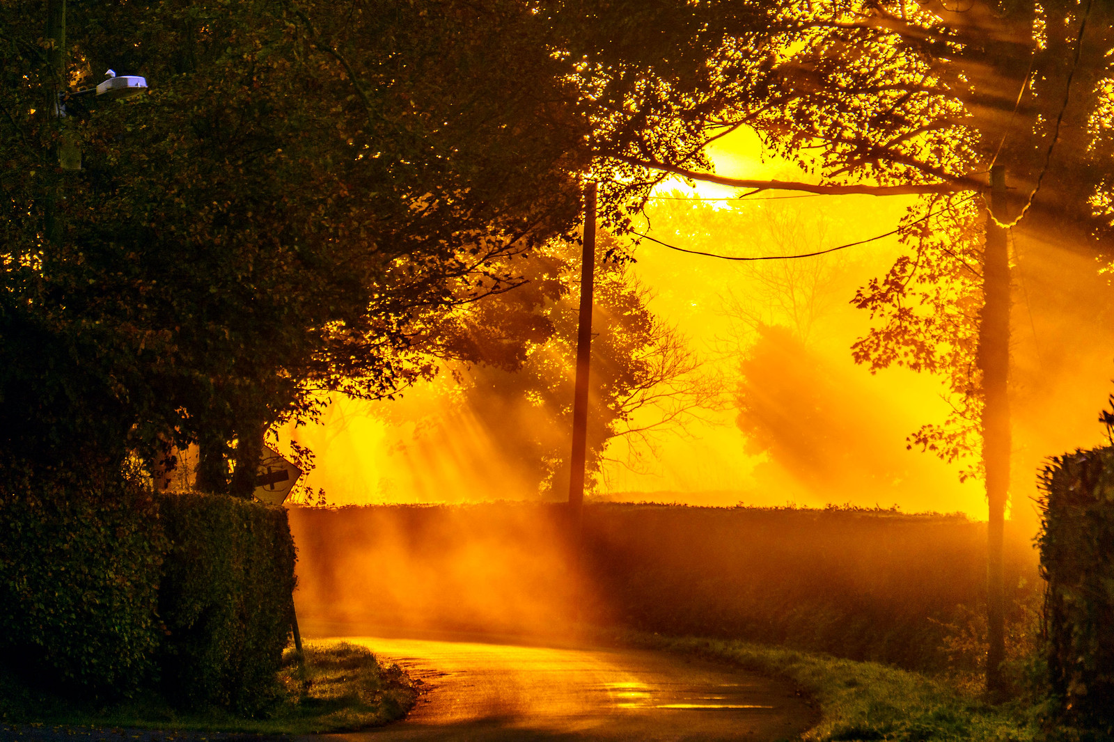Golden Rays at Dawn