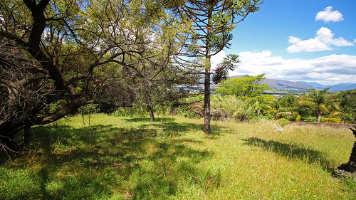 plot paarl southafrica vacantland property realestate realestatephotography tree field erf lot vacantlot nature scenic view mountain sky park forest grass realty