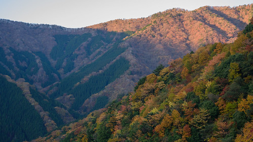 吉野郡 奈良県 japan ナメゴ谷 紅葉 autumnleaves 山 mountain 日の出 sunrise