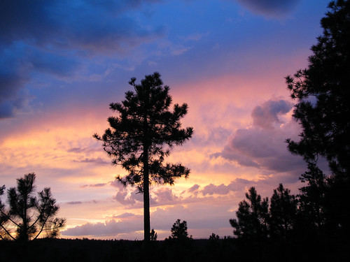 arizona sunset mogollonrim therim stormyweather monsoon thunderstorms daylightdeparture sky evening summer aftertherain stormclouds skyscape sundown view coloradoplateau forest rim edge silhouettes coconinonf coconinonationalforest outdoors adventure exploration discovery beauty 7600ftelevation highcountry rimexpedition2014 nature southwest canonpowershotg12 pspx9 zoniedude1 earthnaturelife explore