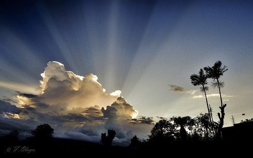 frankolaya siluetas venezuela caracas nikond5300 paisajes nubes crepusculo ocaso atardeceres naturaleza escaleradejacob rayosdebuda puestadesol cielo arboles