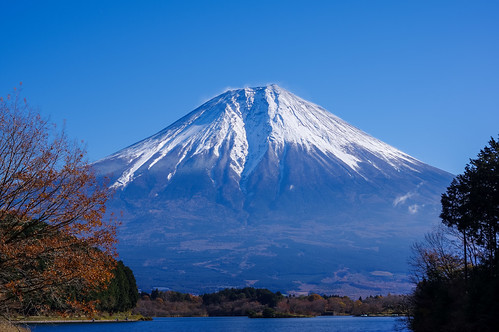 Mt.Fuji Lake Tanuki20171124-029.jpg