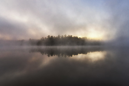land landscape tree trees forest woods water lake reflection fog mist morning dawn yellow sun nature outdoor north america canada muskoka ontario visibility