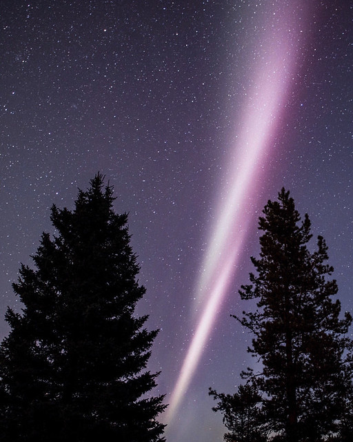 steve. aurora borealis. alberta. While in Canada I ...