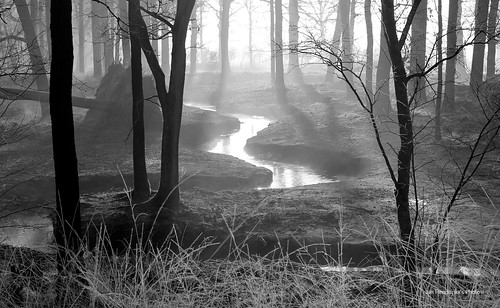janneman2007 canon600d canon netherlands nederland niederlande paysbas stream beekje bach winter morning ochtend sunrise zonsopgang fog mist trees bomen water reflections