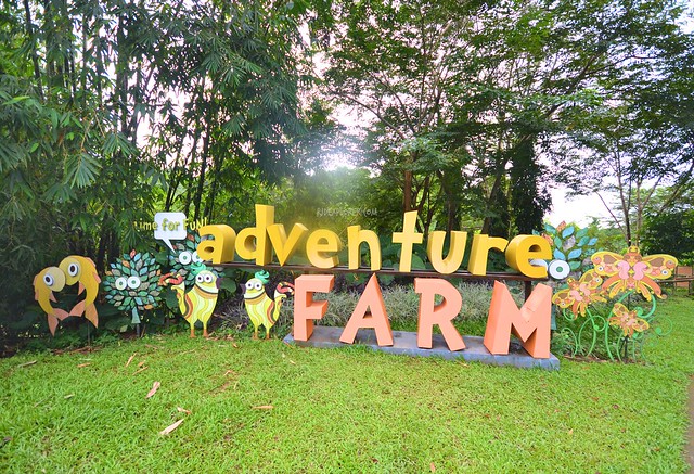 adventure farm timberland heights san mateo rizal adventure playground