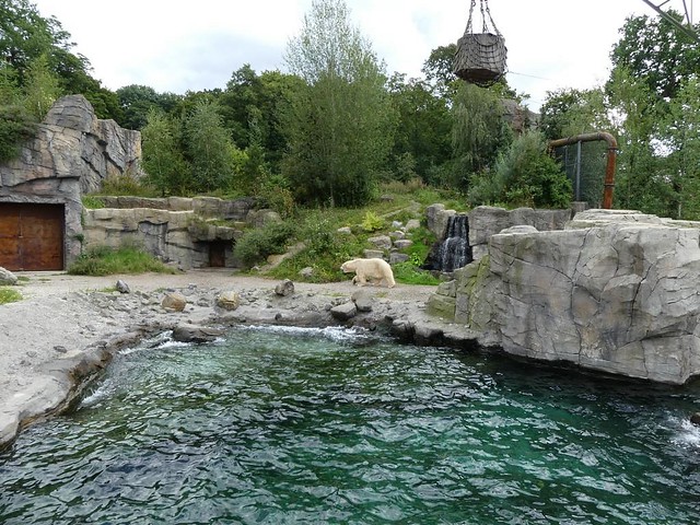 Eisbärgehege, Zoo Hannover
