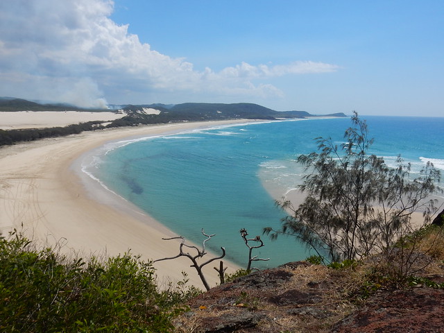 Un paraíso llamado Fraser Island - AUSTRALIA POR LIBRE: EL PAÍS DEL FIN DEL MUNDO (10)