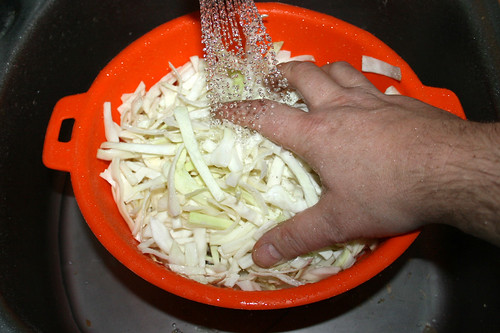50 - Weißkohl-Streifen waschen / Wash white cabbage stripes