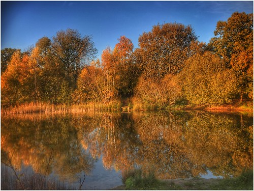 silica pond nature park reserve water still reflection autumn autumnal afternoon branches daylight exposure image imageof imagecapture sky trees uk views weather yaddlethorpe scunthorpe lincolnshire nlincs northlincs naturephotography openwater