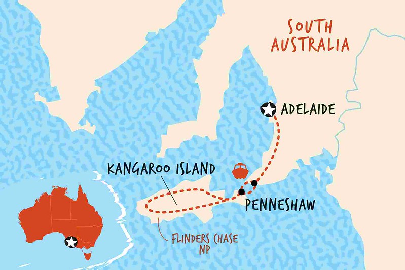 Kangaroo Island, fauna australiana en estado puro - AUSTRALIA POR LIBRE: EL PAÍS DEL FIN DEL MUNDO (2)