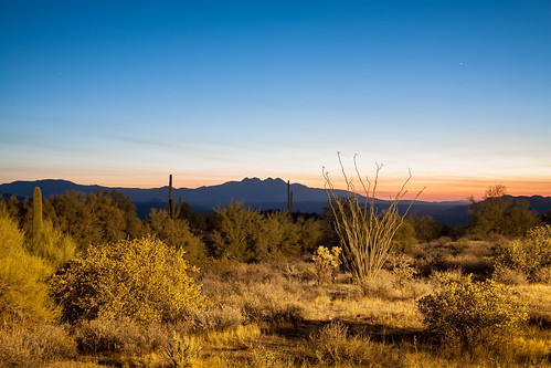 mountains mountain sonoran desert cactus mcdowell night sunsirse