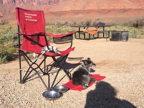 Yoda in the Campground