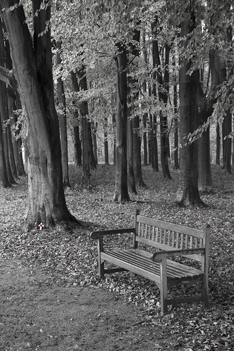 bench thiepval memorialtothemissing somme picardie hautsdefrance france war memorial remembrance poppy cross autumn leaves tree wood