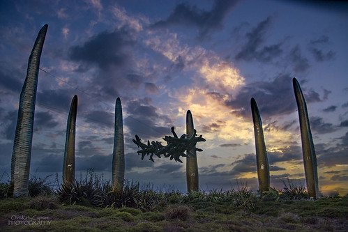 eeltraps eels sculpture bluehour hamiltonnew zealand sunset chriskirbycapturephotography waka