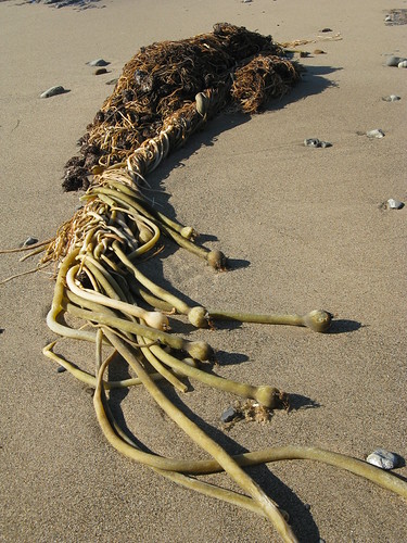 Strand Beach