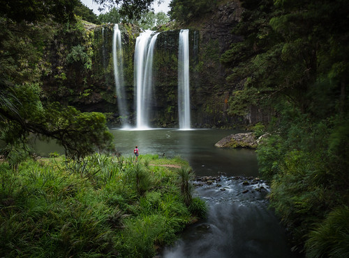 hateariver newzealand northisland whangarei whangareifalls basaltcliff forest hiker landscape longexposure nativebush person river walker waterfall