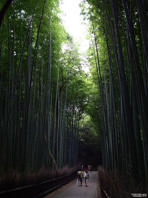 嵐山 竹林步道