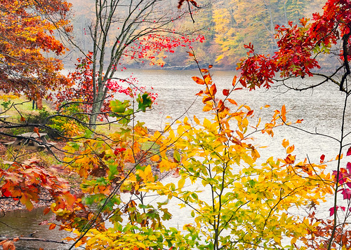 browncountystatepark indiana landscape autumn fall solitude leaves color foilage yellow red lake serene oglelake