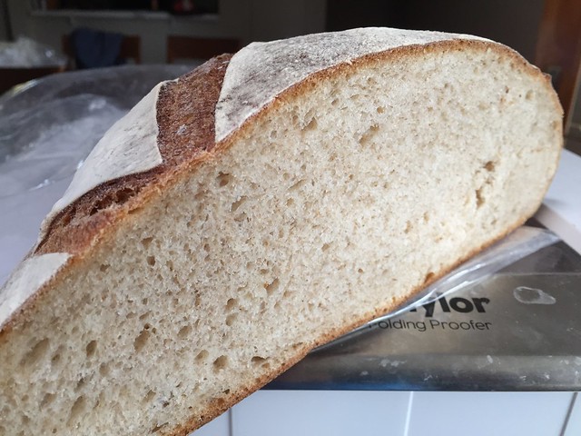 Trader Joe's Organic Pain Pascal - A Rustic Bread