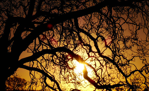 silverton england unitedkingdom gb silvertonparkstables branches sunrise