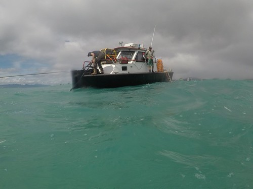 Responders install underwater moorings near Pacific Paradise