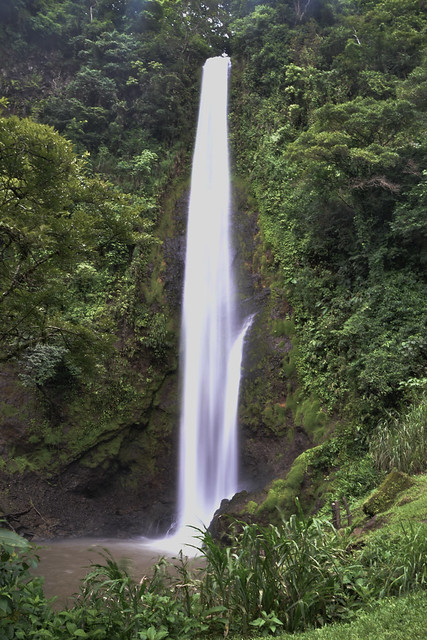 Ruta de 17 días por Costa Rica con niña de 7 años - Blogs de Costa Rica - Etapa 6. Ruta hasta Monteverde (cascadas Viento Fresco) (7)