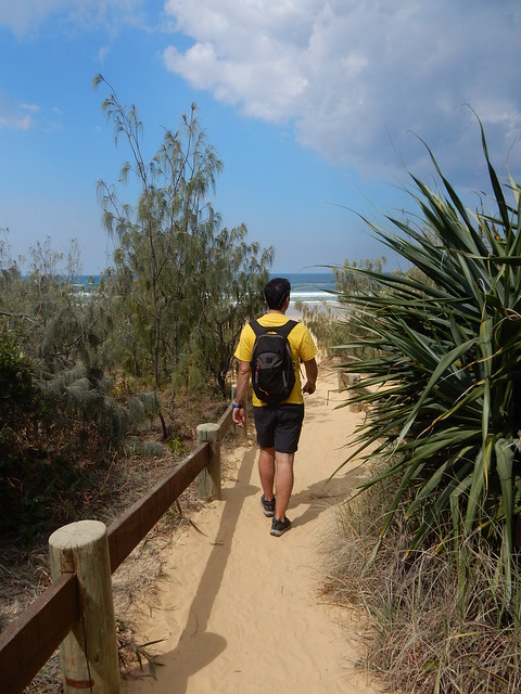 Un paraíso llamado Fraser Island - AUSTRALIA POR LIBRE: EL PAÍS DEL FIN DEL MUNDO (17)