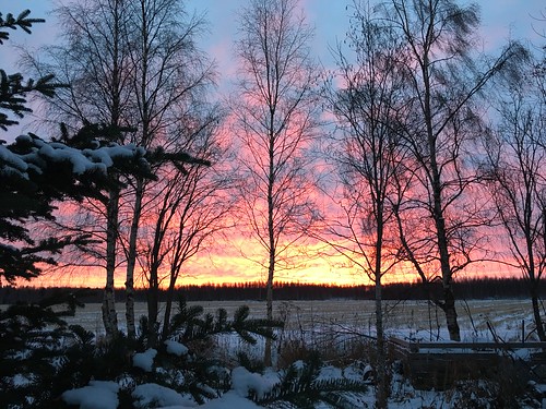 sunrise finland morning winter