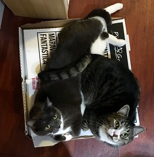Watson & Crick on a pizza box