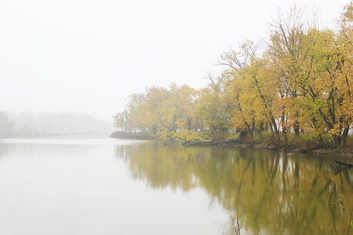 fog foggy foggyweather trees autumncolor autumn reflections water 117picturesin2017 dreamy