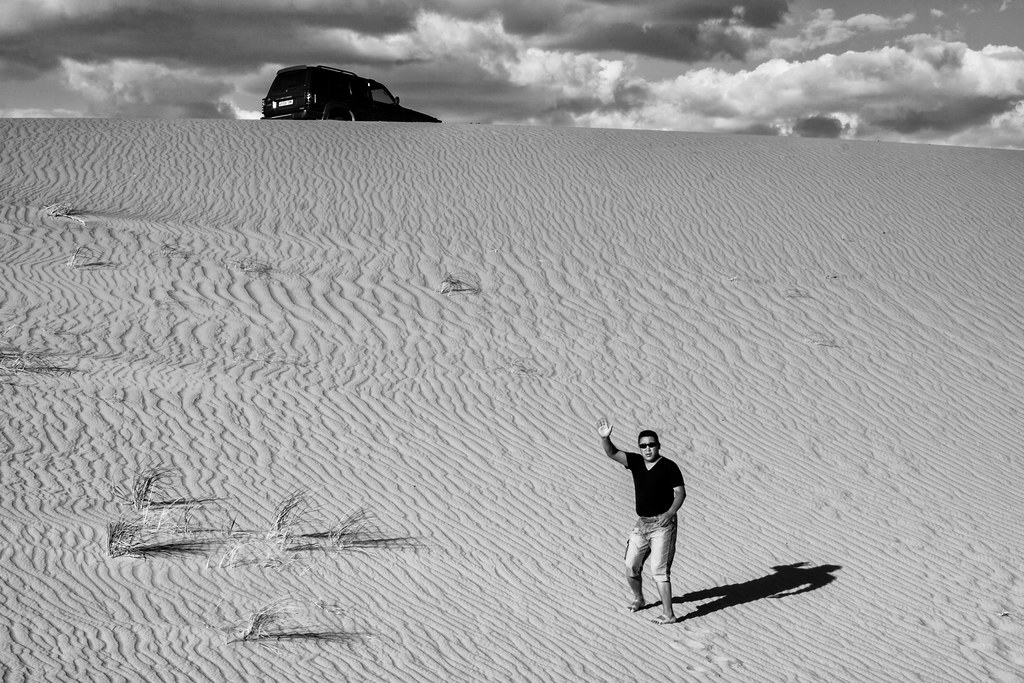 Dunes In The Mongolian Gobi Desert