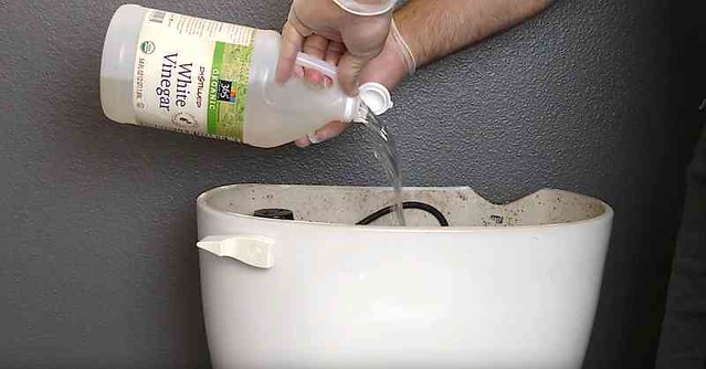 Amazing Toilet Tricks that Will Save You Time and Money