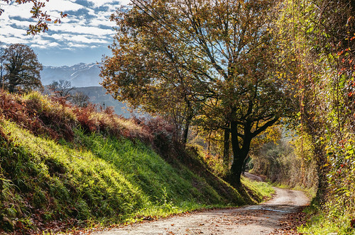 asturias latores llagú otoño camino nubes hojas