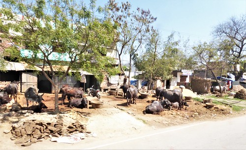 i-Allahabad-varanasi (8)