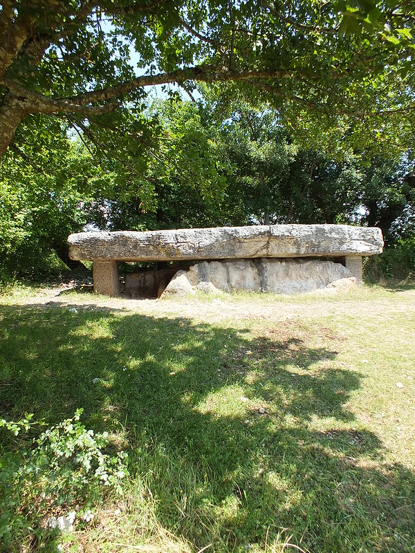 [176-002] Livernon - Dolmen de la Pierre Martine
