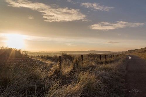 dunes duines huisduinen denhelder holland misty frosty frost grass tallgrass naturenetherlands europe path walkingpath morning light sky field sunrise