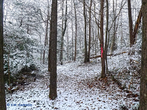 snow carolinecounty virginia va usa woods forest winter landscape