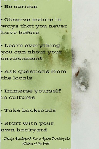 Tips for conscious, nature-inspired living. From an interview with Doniga Markegard, author of Dawn Again: Tracking the Wisdom of the Wild