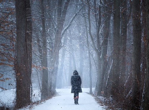 path newjersey lonely winter peaceful stock walking isolated lady calm walkingaway snow flakes storm blue girl cold solitude alone forest woman trail princeton landscape america white delawareandraritancanal snowing unitedstates us