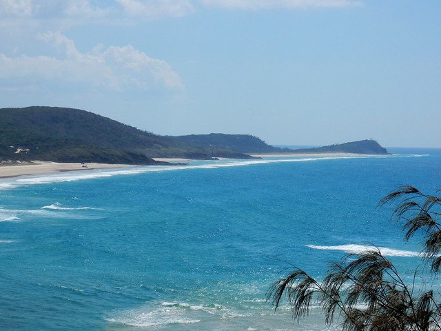 Un paraíso llamado Fraser Island - AUSTRALIA POR LIBRE: EL PAÍS DEL FIN DEL MUNDO (12)