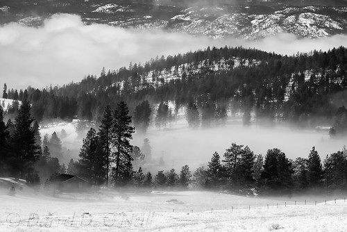 snow landscape trees forest mountain hill house cabin fog mist cloud bw monochrome black white grey gray nature kelowna bc canada okanagan