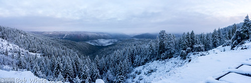 imagecompositeeditor composite microsoftice california norcal nevadacounty hwy20 commute overlook snow pano panorama forest