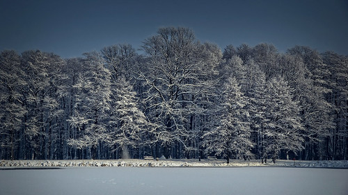 winter landscape sigma tychy poland