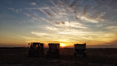 harvest field wagon tractor machinery farm rural country fall end corn grain soybeans rockrivervalley illinois clouds evening