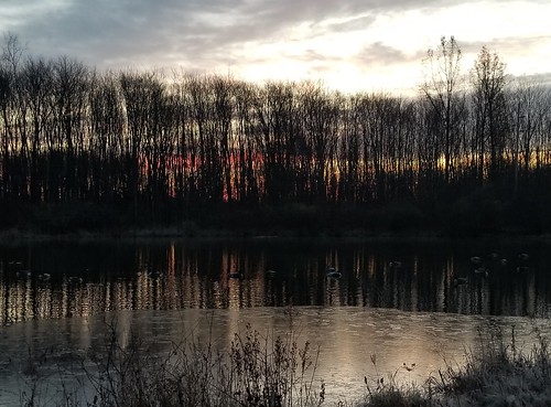 dawn sunrise pond ice december trees silhouette s8 20171202071804strt reflection