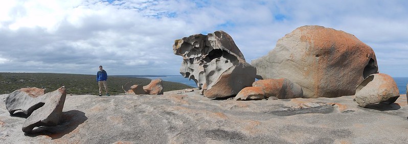Kangaroo Island, fauna australiana en estado puro - AUSTRALIA POR LIBRE: EL PAÍS DEL FIN DEL MUNDO (70)