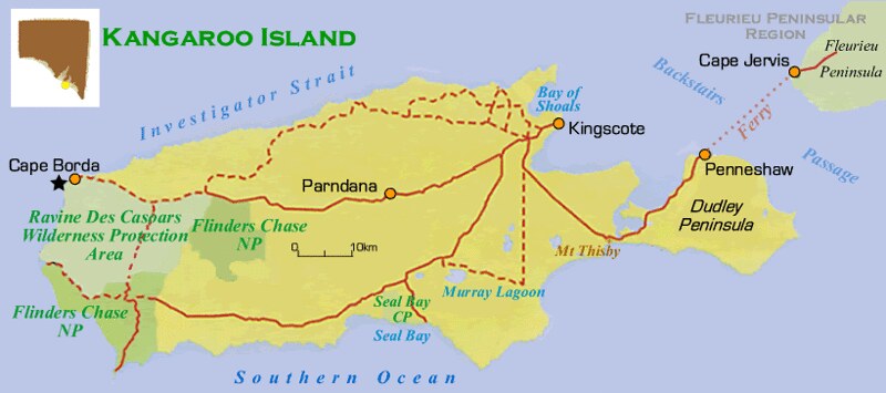 Kangaroo Island, fauna australiana en estado puro - AUSTRALIA POR LIBRE: EL PAÍS DEL FIN DEL MUNDO (9)