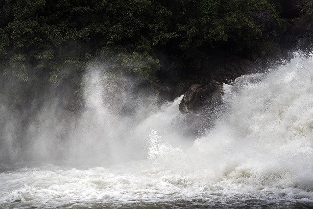 Manimuthar Water Falls